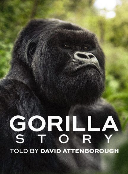 (2026) A Gorilla Story: Told by David Attenborough | مستند داستان یک گوریل: به روایت دیوید آتنبورو